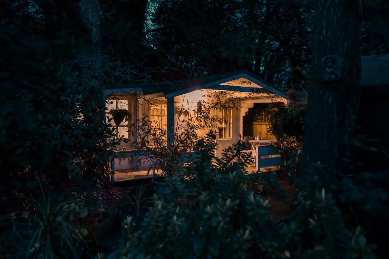 Bed & Breakfast Ward Avenue